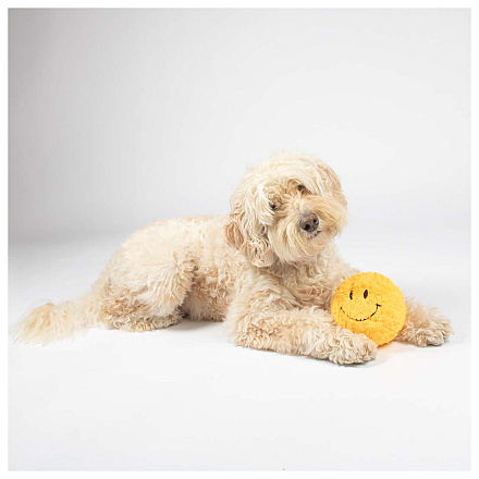 Coockoo Hondenspeelgoed Giggly Gary Geel