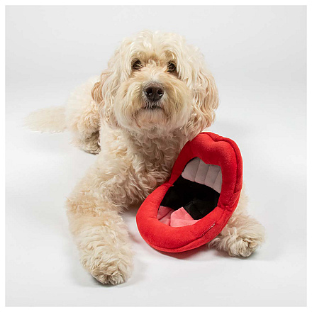 Coockoo Hondenspeelgoed Happy Hangry Rood