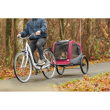 TRIXIE Hondenfietskar Grijs/Rood
