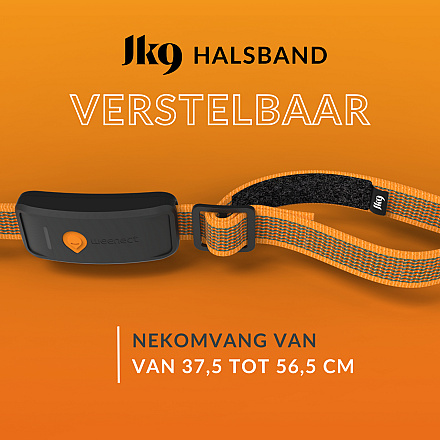 Weenect XT GPS Tracker met Julius-K9 Halsband Oranje