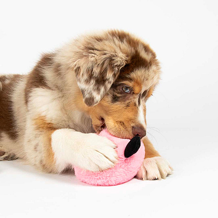 Coockoo Hondenspeelgoed Bouncy Buddy Roze
