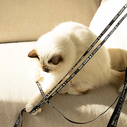 D&D I Love Happy Cats Kattenhengel Claire Zwart