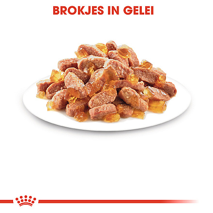 Royal Canin Kattenvoer Kitten in Jelly <br>12 x 85 gr