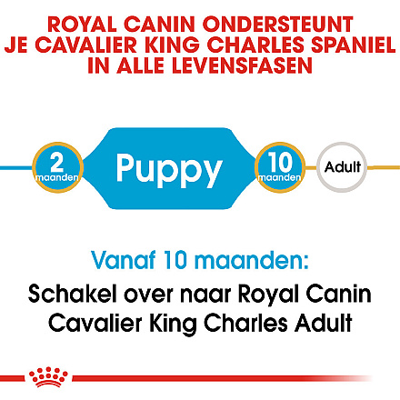 Royal Canin Hondenvoer Cavalier King Charles Puppy 1,5 kg