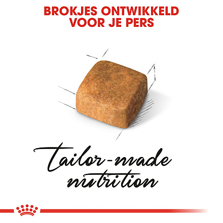 Royal Canin Kattenvoer Persian Kitten 2 kg