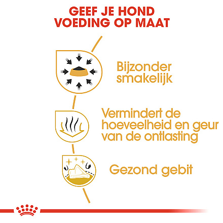 Royal Canin Hondenvoer Chihuahua Adult 3 kg