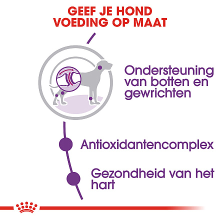 Royal Canin Hondenvoer Giant Adult 15 kg