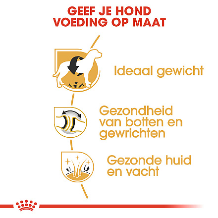 Royal Canin Hondenvoer Labrador Retriever Adult 12 kg