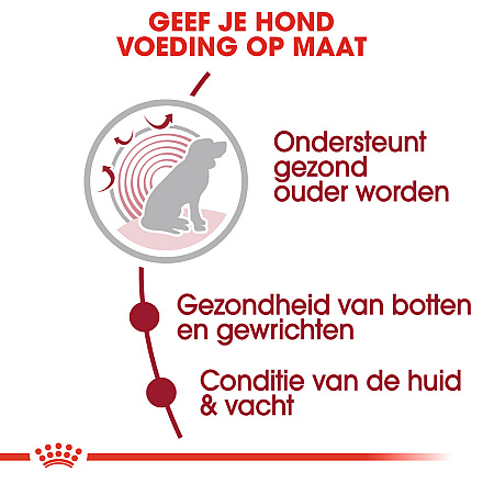 Royal Canin Hondenvoer Medium Ageing 10+<br> 3 kg