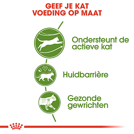 Royal Canin Kattenvoer Outdoor 4 kg