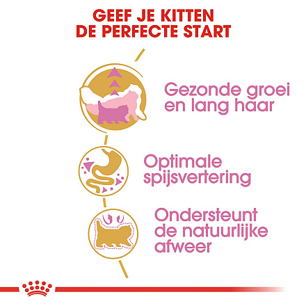 Royal Canin Kattenvoer Persian Kitten 10 kg