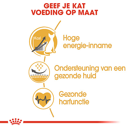 Royal Canin Kattenvoer Sphynx Adult 10 kg