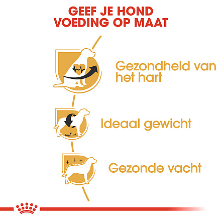 Royal Canin Hondenvoer Cavalier King Charles Adult 3 kg