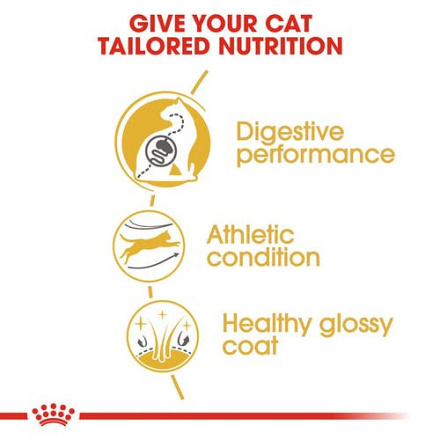 Royal Canin Kattenvoer Bengal Adult 10 kg