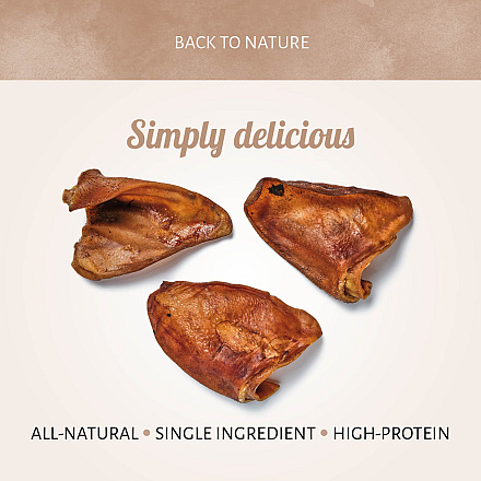 Antos Varkensoren 7 st