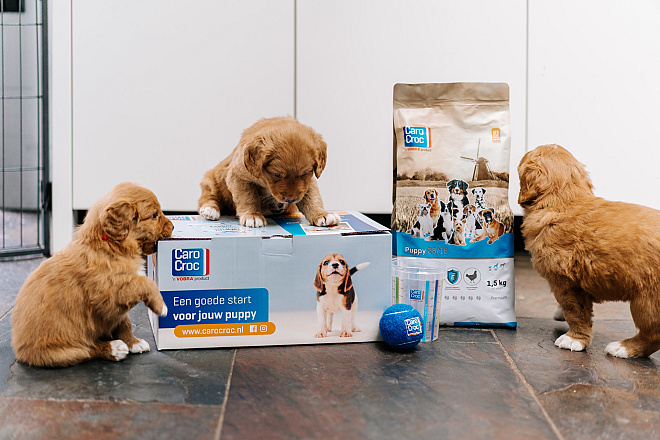CaroCroc Puppypakket 1,5 kg