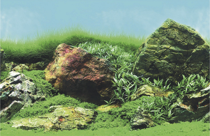 SuperFish Deco poster C