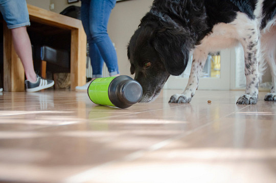 Eat Slow Live Longer Feed and Treat grijs